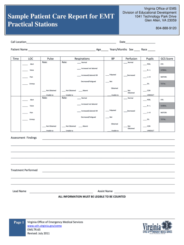 Fillable Online Vdh Virginia Sample Patient Care Report For Throughout