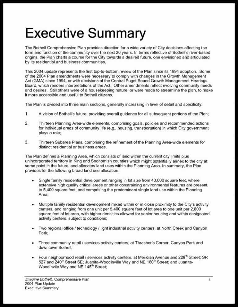 13-example-of-executive-summary-for-a-report-vigamassi-regarding