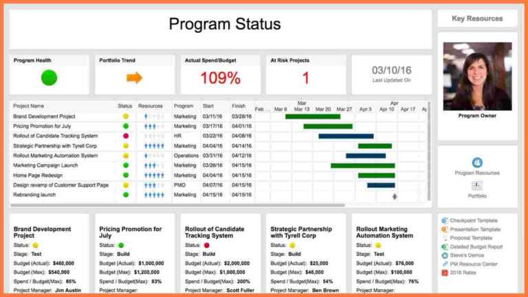 Development Status Report Template