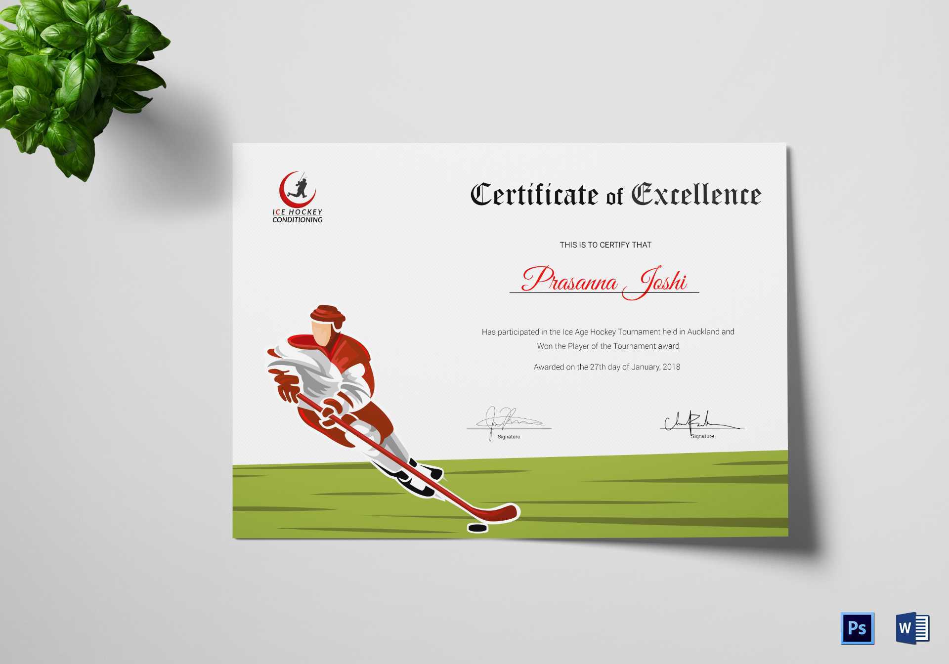 Hockey Certificate Templates Professional Template