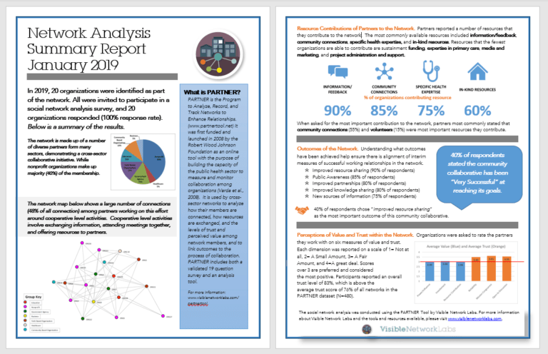 Network Analysis Report Template