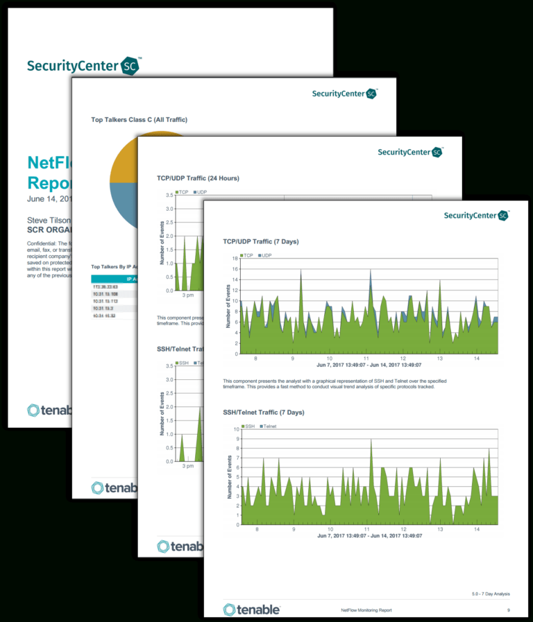 Network Analysis Report Template