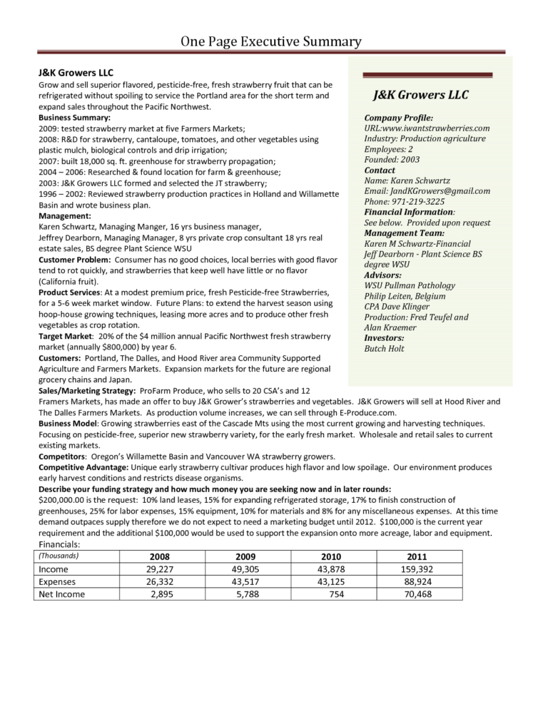 One Page Executive Summary Template Intended For One Page Book Report ...