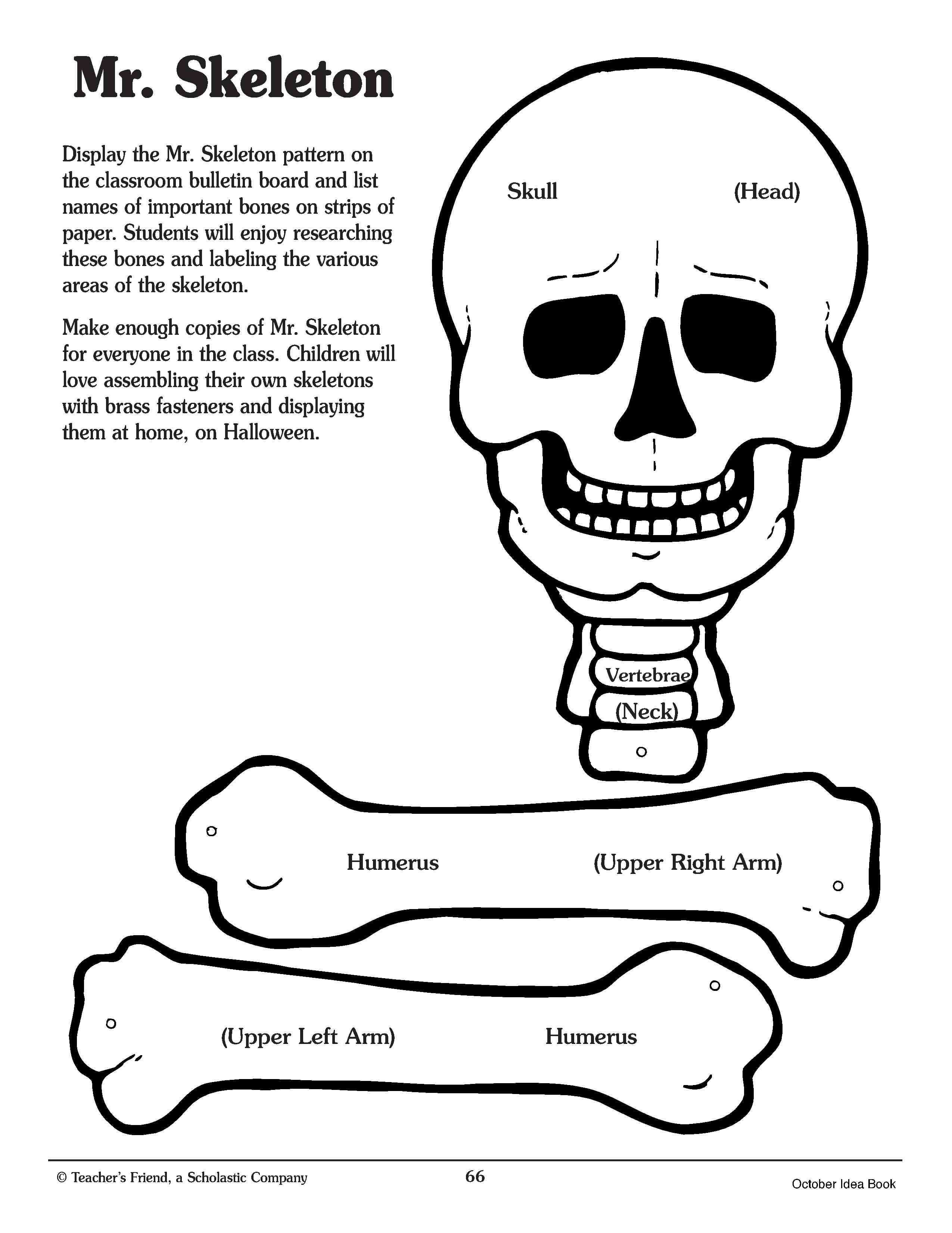 Pin On For The Classroom Throughout Skeleton Book Report Template 